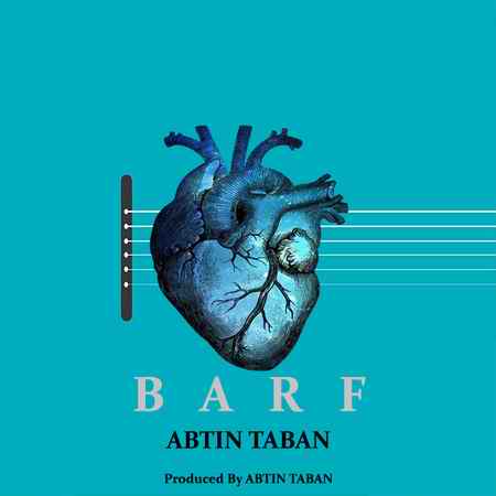 خرید و دانلود آهنگ بی کلام آبتین تابان برف