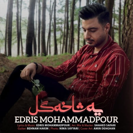 خرید و دانلود آهنگ بی کلام ادریس محمدپور یه شاخه گل