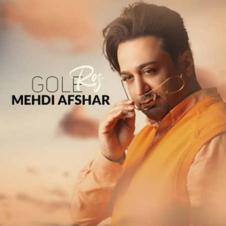 خرید و دانلود آهنگ بی کلام مهدی افشار گل رز