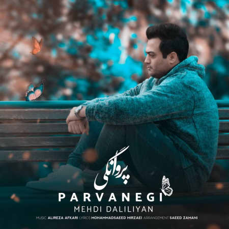 خرید و دانلود آهنگ بی کلام مهدی دلیلیان پروانگی