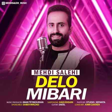 خرید و دانلود آهنگ بی کلام مهدی صالحی دلو میبری