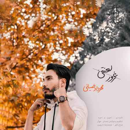 خرید و دانلود آهنگ بی کلام مهرداد ضیائی غرور لعنتی
