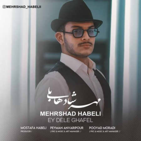 خرید و دانلود آهنگ بی کلام مهرشاد هابلی ای دل غافل