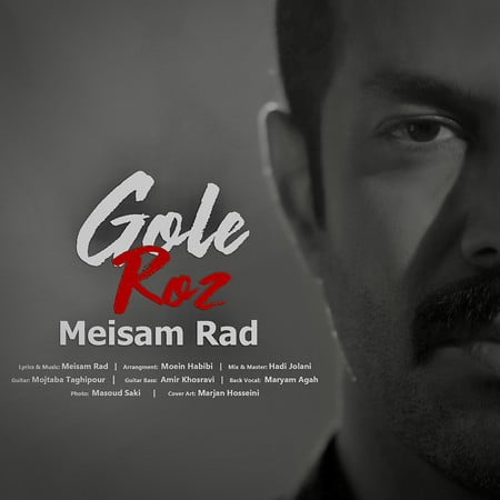 خرید و دانلود آهنگ بی کلام ميثم راد گل رز