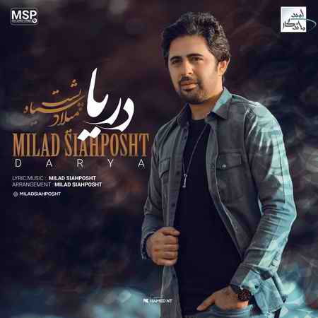 خرید و دانلود آهنگ بی کلام میلاد سیاه پشت دریا