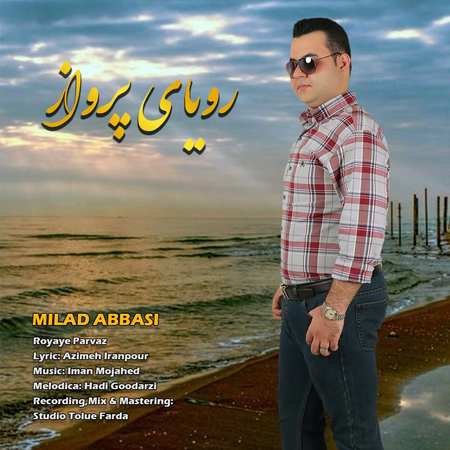 خرید و دانلود آهنگ بی کلام میلاد عباسی رویای پرواز
