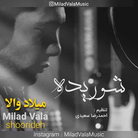 خرید و دانلود آهنگ بی کلام میلاد والا شوریده