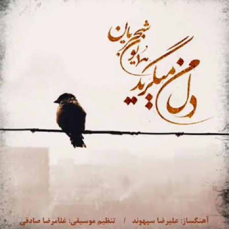 خرید و دانلود آهنگ بی کلام همایون شجریان دل من میگرید