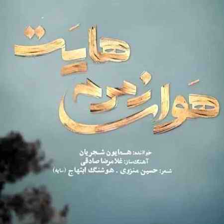 خرید و دانلود آهنگ بی کلام همایون شجریان هوای زمزمه هایت