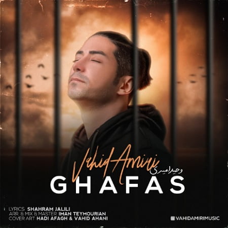 خرید و دانلود آهنگ بی کلام وحید امیری قفس