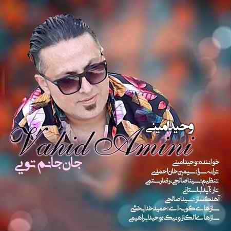 خرید و دانلود آهنگ بی کلام وحید امینی جان جانم تویی