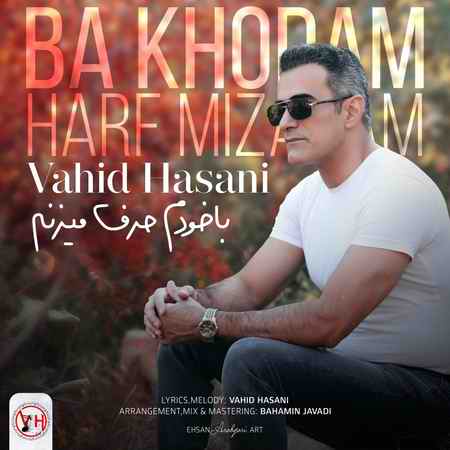 خرید و دانلود آهنگ بی کلام وحید حسنی با خودم حرف میزنم