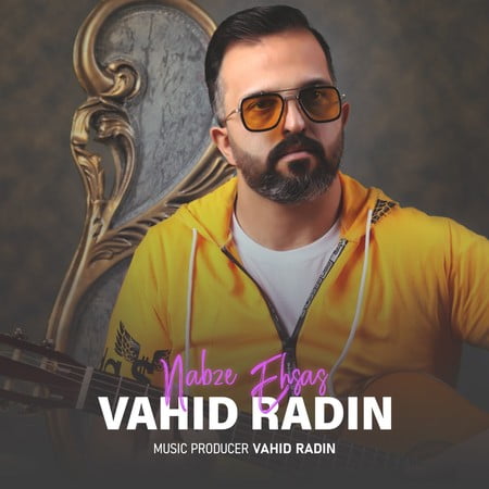 خرید و دانلود آهنگ بی کلام وحید رادین نبض احساس