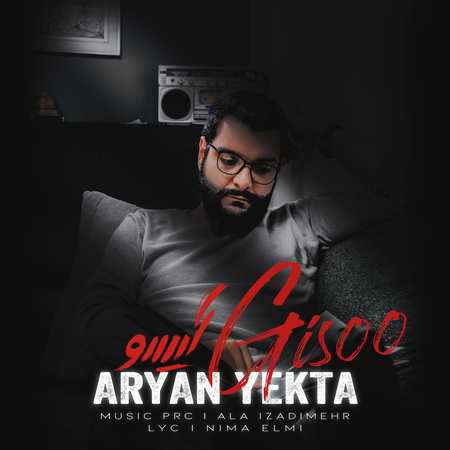 خرید و دانلود آهنگ بی کلام آرین یکتا گیسو