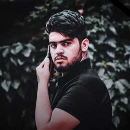 خرید و دانلود آهنگ بی کلام سکوت شویلم