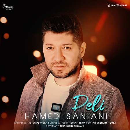 خرید و دانلود آهنگ بی کلام حامد سانیانی دلی