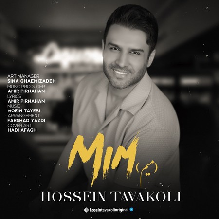 خرید و دانلود آهنگ بی کلام حسین توکلی میم