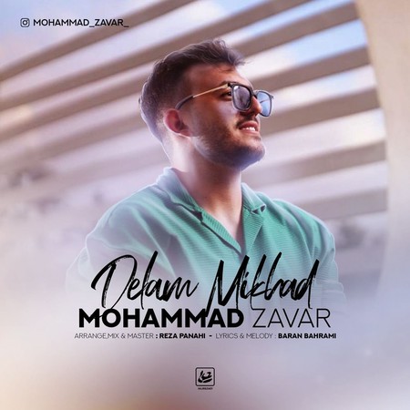خرید و دانلود آهنگ بی کلام محمد زوار دلم میخواد