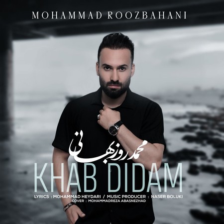 خرید و دانلود آهنگ بی کلام محمد روزبهانی خواب دیدم
