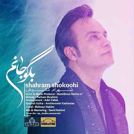خرید و دانلود آهنگ بی کلام شهرام شکوهی بگو جانم
