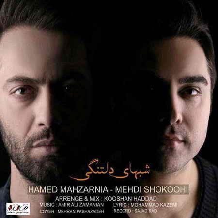 خرید و دانلود آهنگ بی کلام جدید حامد محضرنیا و مهدی شکوهی شبهای دلتنگی