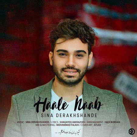 خرید و دانلود آهنگ بی کلام جدید سینا درخشنده ناب