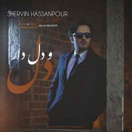 خرید و دانلود آهنگ بی کلام جدید شروین دل و دلدار