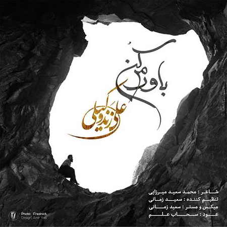 خرید و دانلود آهنگ بی کلام جدید علی زندوکیلی باورم کن