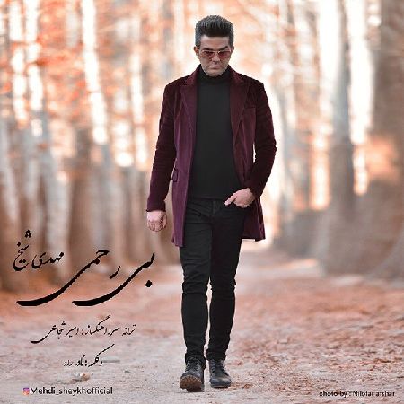 خرید و دانلود آهنگ بی کلام مهدی شیخ بی رحمی