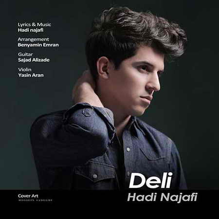 خرید و دانلود آهنگ بی کلام هادی نجفی دلی