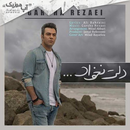 خرید و دانلود آهنگ بی کلام گرشا رضایی دلت نخواد