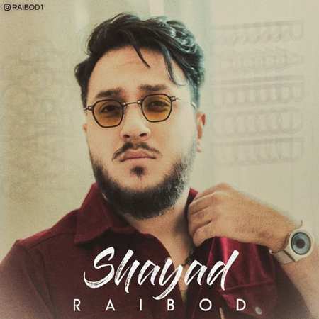 خرید و دانلود آهنگ بی کلام رایبد شاید