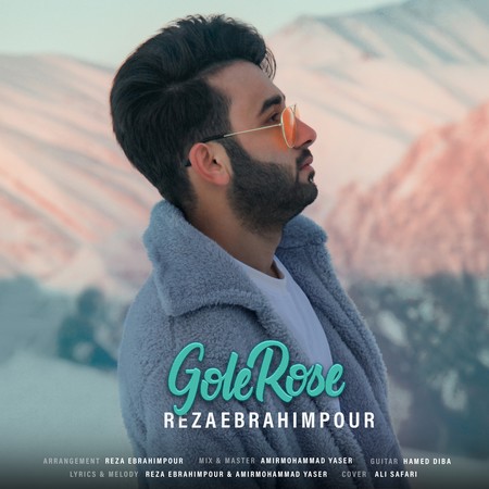 خرید و دانلود آهنگ بی کلام رضا ابراهیم پور گل رز