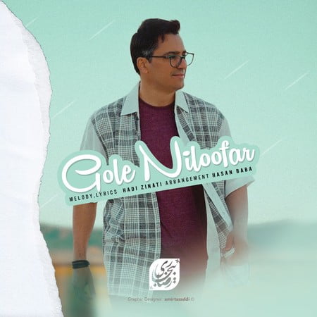 خرید و دانلود آهنگ بی کلام رضا بیجاری گل نیلوفر
