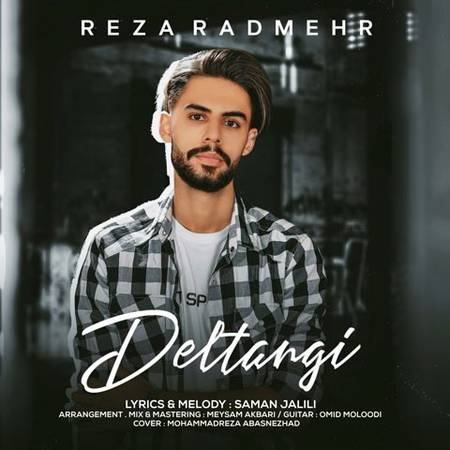 خرید و دانلود آهنگ بی کلام رضا رادمهر دلتنگی