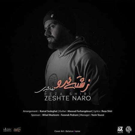 خرید و دانلود آهنگ بی کلام رضا شیری زشته نرو