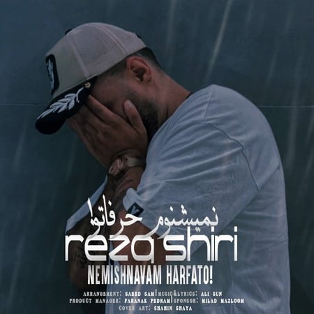 خرید و دانلود آهنگ بی کلام رضا شیری نمیشنوم حرفاتو