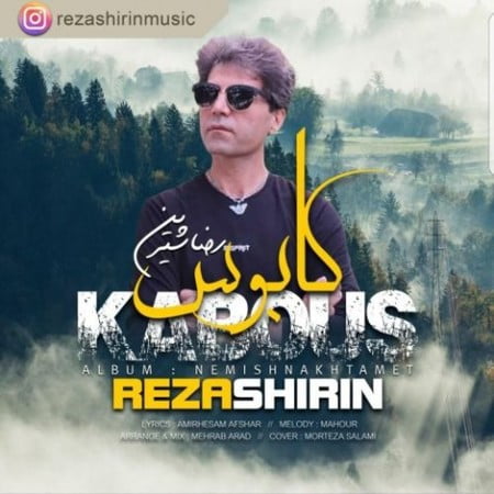 خرید و دانلود آهنگ بی کلام رضا شیرین کابوس