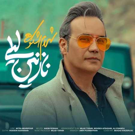 خرید و دانلود آهنگ بی کلام شهرام شکوهی نازنین لیلی