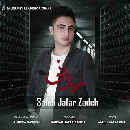 خرید و دانلود آهنگ بی کلام صالح جعفرزاده زندونی
