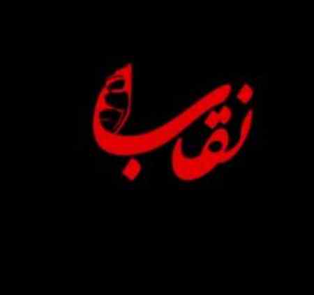 خرید و دانلود آهنگ بی کلام علی زند وکیلی نقاب