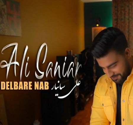 خرید و دانلود آهنگ بی کلام علی سانیار دلبر ناب