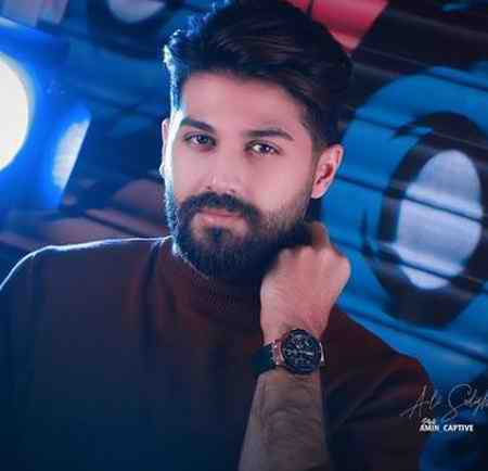 خرید و دانلود آهنگ بی کلام علی صدیقی لیلا بانو