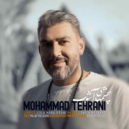 خرید و دانلود آهنگ بی کلام محمد طهرانی چشمهای آشوب