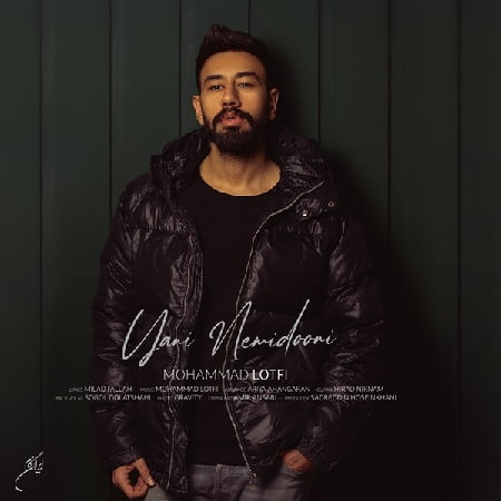 خرید و دانلود آهنگ بی کلام محمد لطفی یعنی نمیدونی