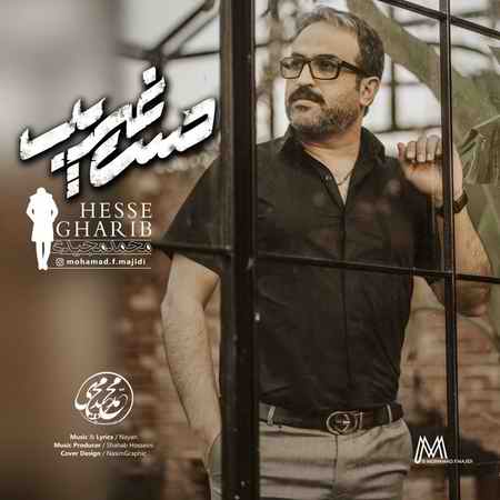 خرید و دانلود آهنگ بی کلام محمد مجیدی حس غریب