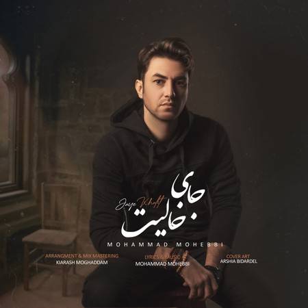 خرید و دانلود آهنگ بی کلام محمد محبی جای خالیت