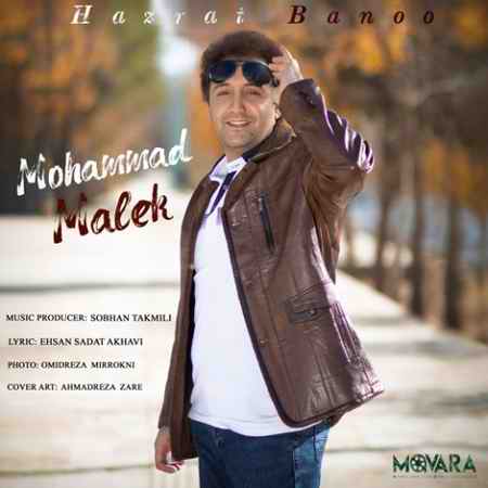 خرید و دانلود آهنگ بی کلام محمد ملک حضرت بانو