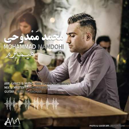 خرید و دانلود آهنگ بی کلام محمد ممدوحی میمیرم