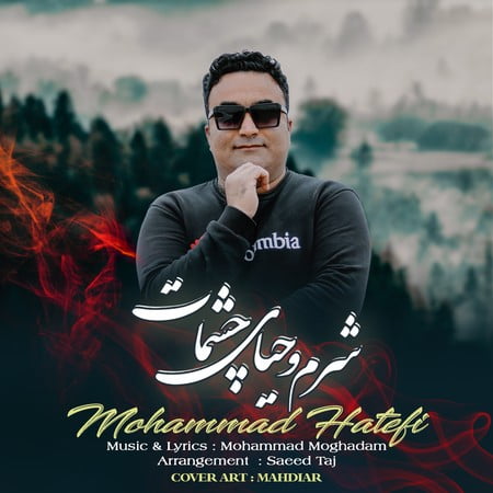 خرید و دانلود آهنگ بی کلام محمد هاتفی شرم و حیای چشمات